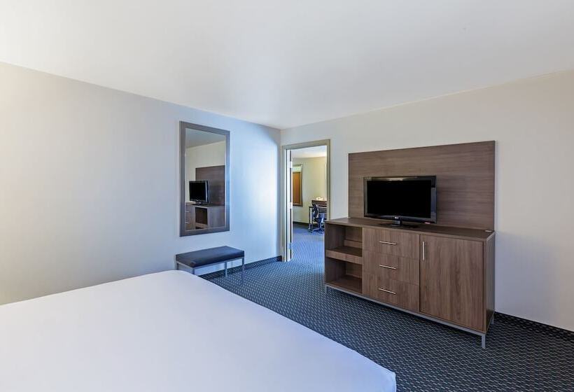 جناح سرير كينج, Holiday Inn Express & Suites   Pharr, An Ihg