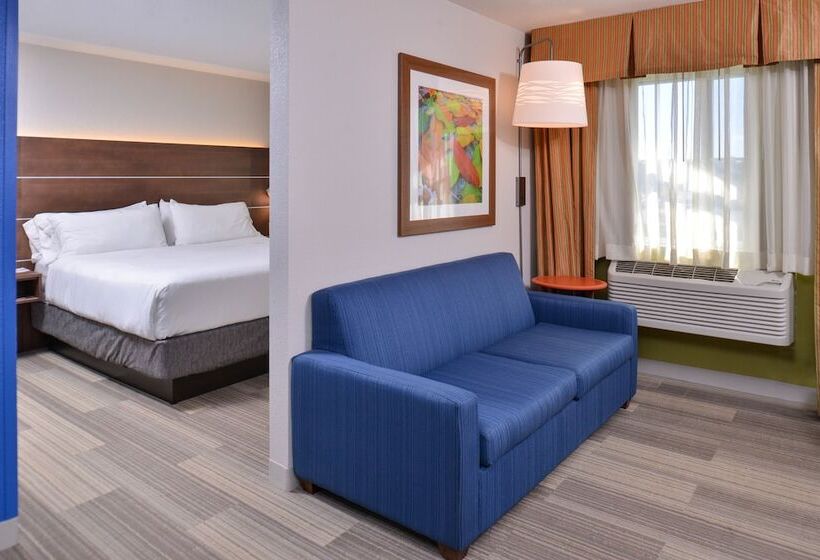 适合残疾人士使用的套间, Holiday Inn Express And Suites Stevens Point By Ihg