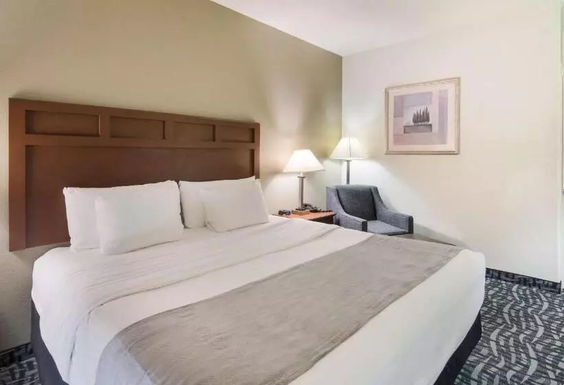 キングサイズベッドのスタンダードルーム, Best Western Comanche Inn