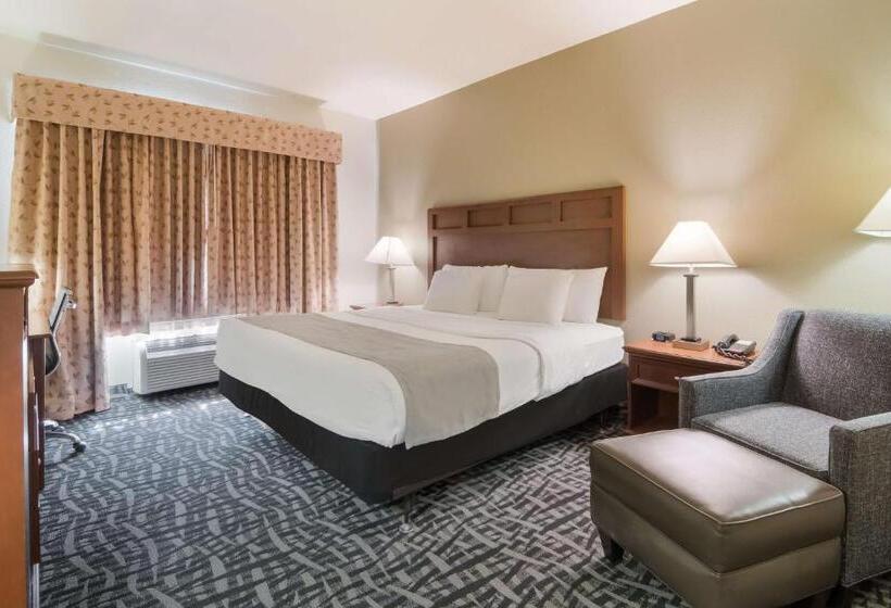 キングサイズベッドのスタンダードルーム, Best Western Comanche Inn