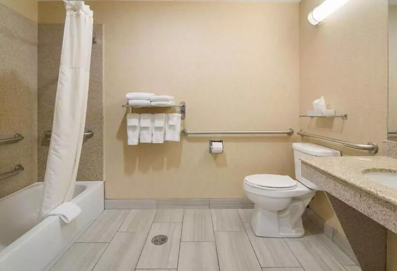 身障者適用キングサイズベッドルーム, Best Western Comanche Inn
