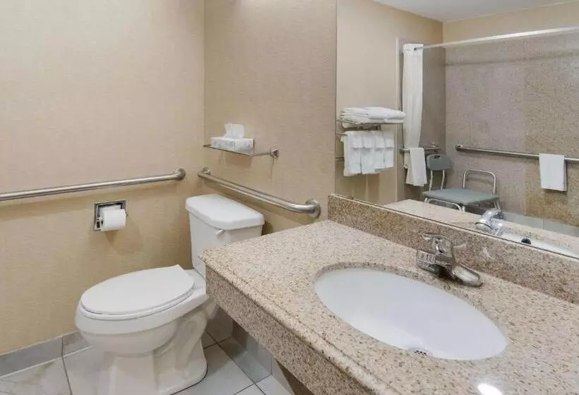 身障者適用キングサイズベッドルーム, Best Western Comanche Inn