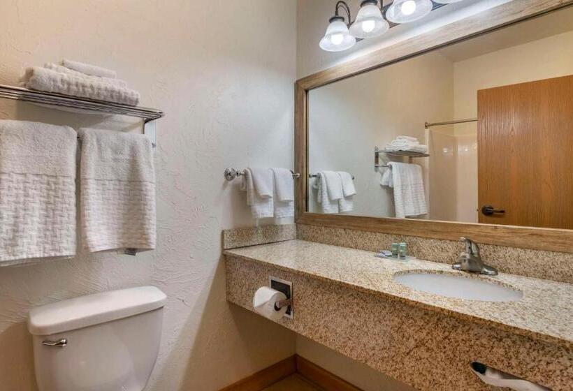 غرفة قياسية, Best Western Devils Tower Inn