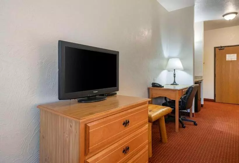 身障者適用キングサイズベッドルーム, Best Western Devils Tower Inn