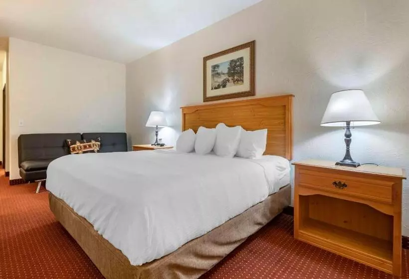 身障者適用キングサイズベッドルーム, Best Western Devils Tower Inn