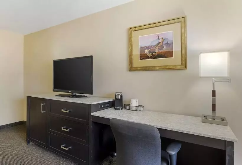 ２ダブルベッドのスタンダードルーム, Best Western Plus Country Inn & Suites