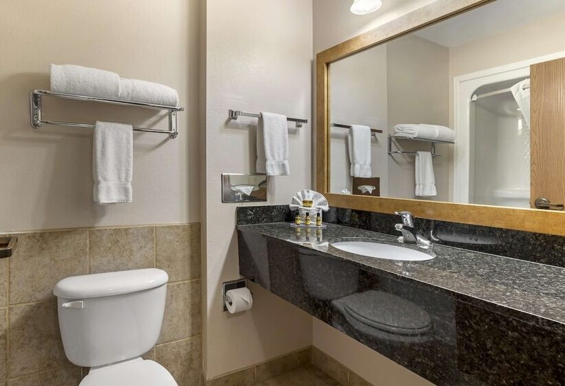 Номер Стандарт Двуспальная Кровать, Best Western Plus Country Inn & Suites