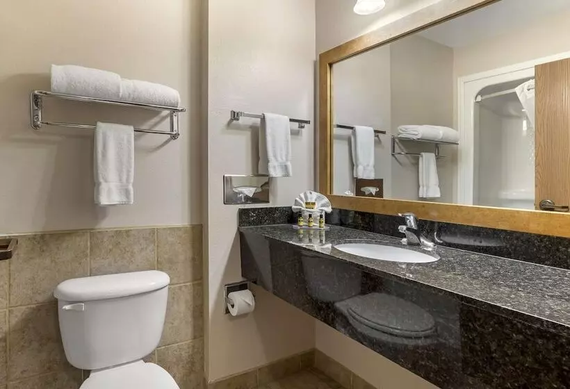 ダブルベッドスタンダードルーム, Best Western Plus Country Inn & Suites