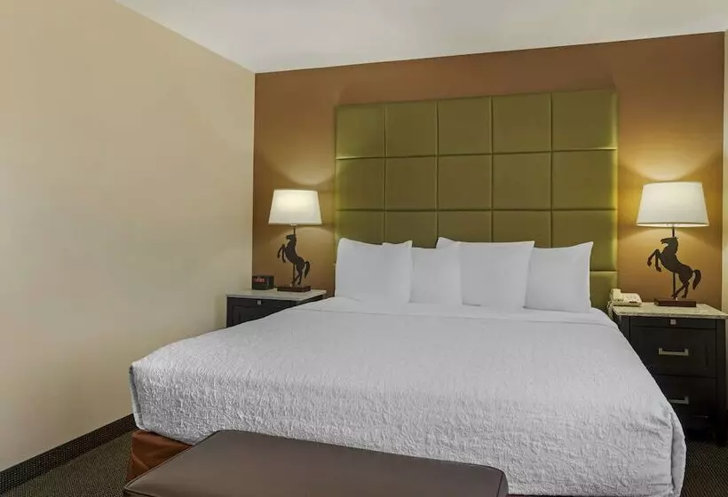 ダブルベッドスタンダードルーム, Best Western Plus Country Inn & Suites