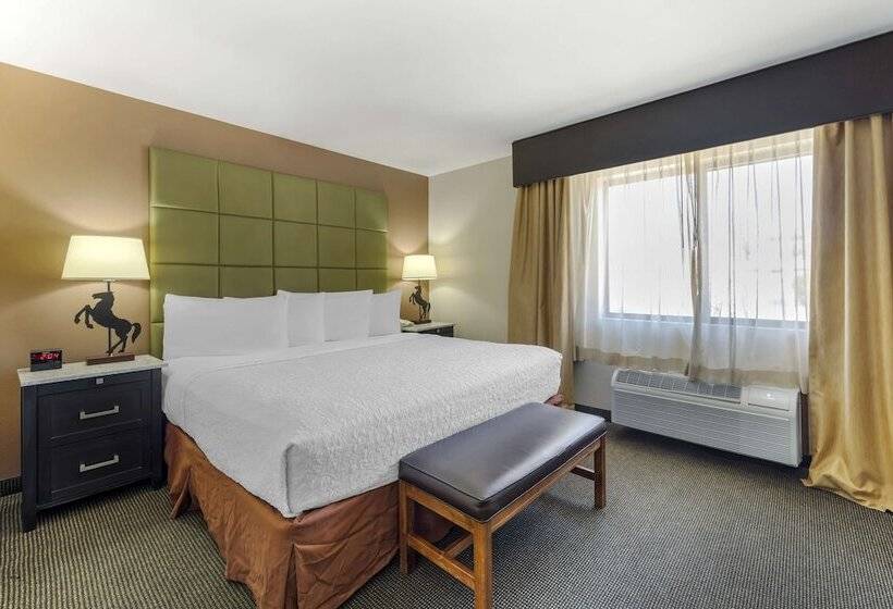 스탠다드 룸 더블 침대, Best Western Plus Country Inn & Suites