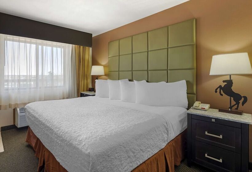 스탠다드 룸 더블 침대, Best Western Plus Country Inn & Suites