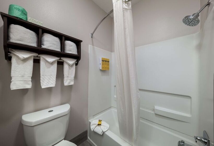 Люкс, Best Western Plus Lake Dallas Inn & Suites