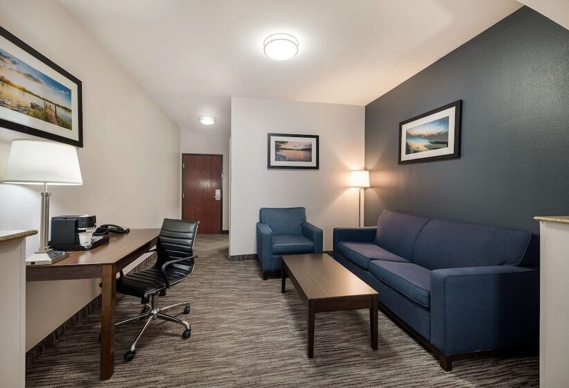 Люкс, Best Western Plus Lake Dallas Inn & Suites