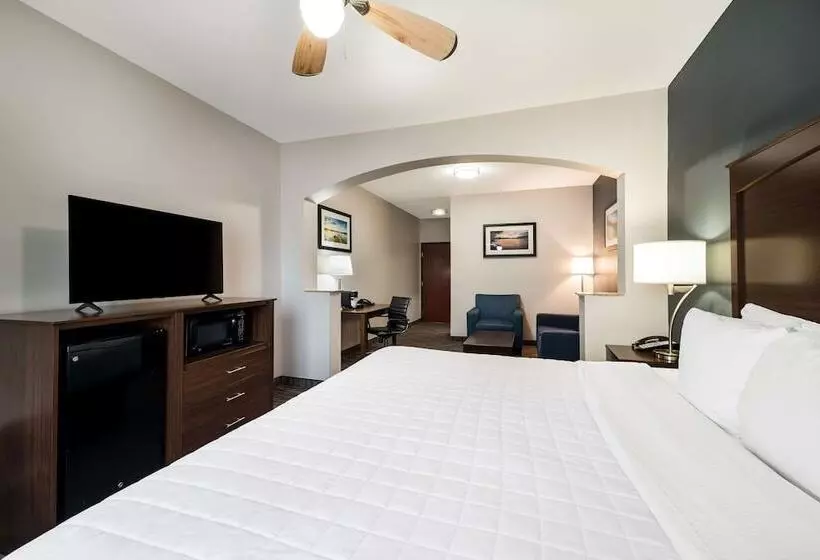 Sviitti, Best Western Plus Lake Dallas Inn & Suites