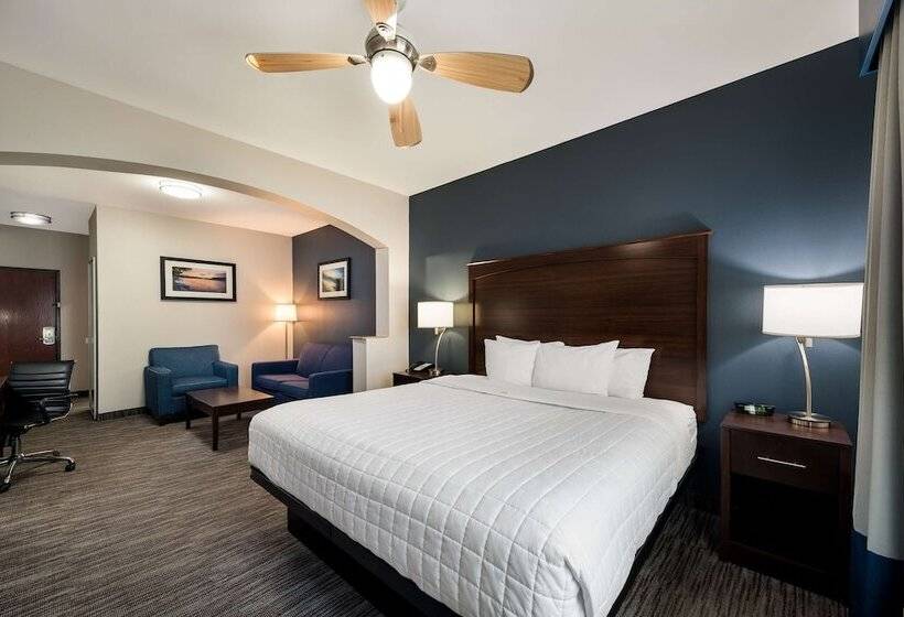 Люкс, Best Western Plus Lake Dallas Inn & Suites