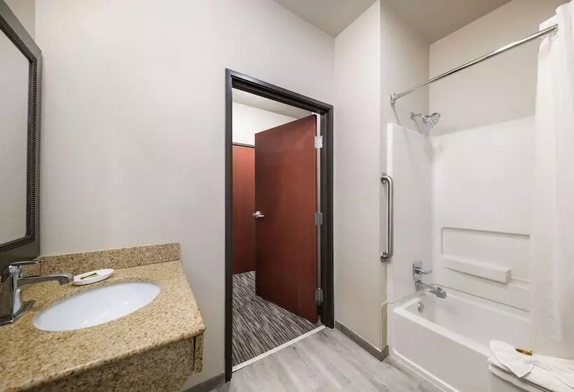 Sviitti Liikuntarajoitteisille, Best Western Plus Lake Dallas Inn & Suites