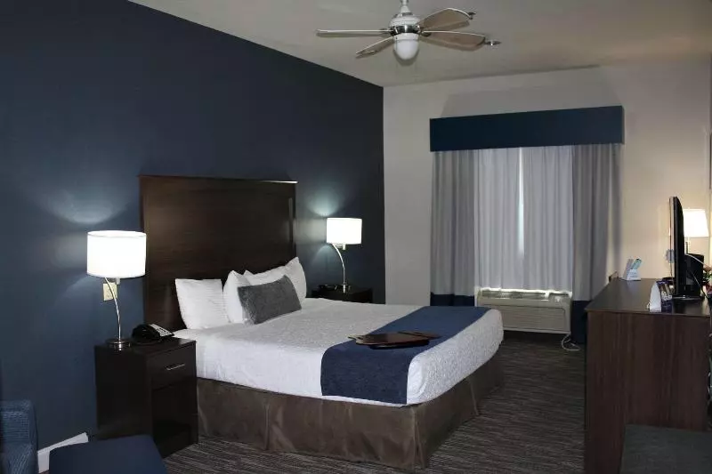 Standard-huone, Best Western Plus Lake Dallas Inn & Suites