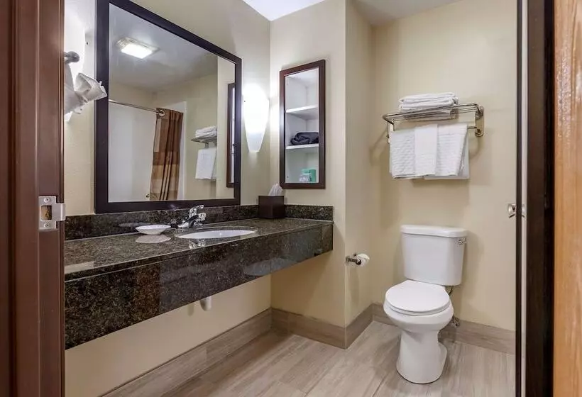 Standard-huone 2 Parivuodetta, Best Western Plus Sparta Trail Lodge