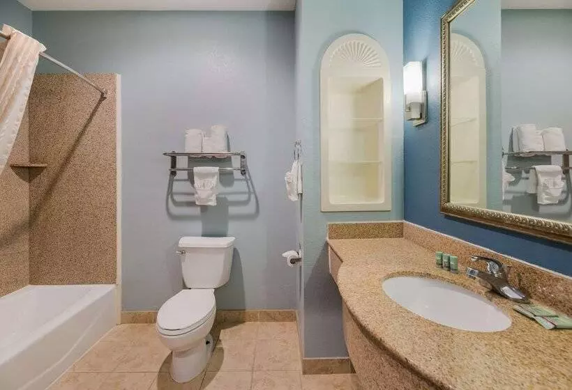Standard-huone, Best Western South Plains Inn & Suites