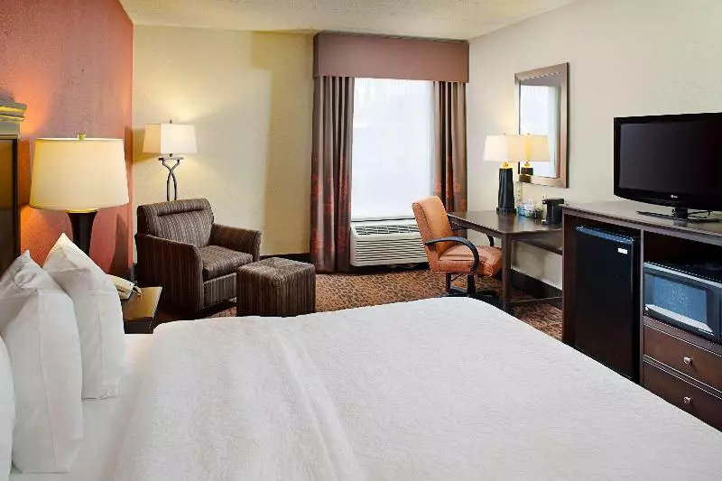 Sviitti King-vuode, Best Western South Plains Inn & Suites