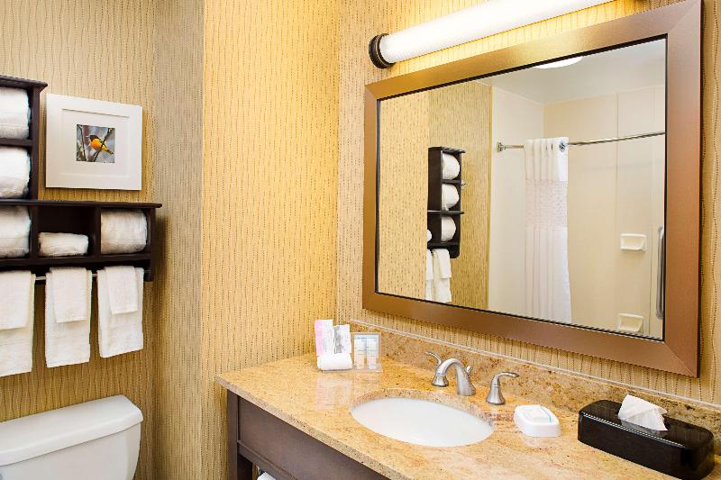 스위트 킹사이즈 침대, Best Western South Plains Inn & Suites