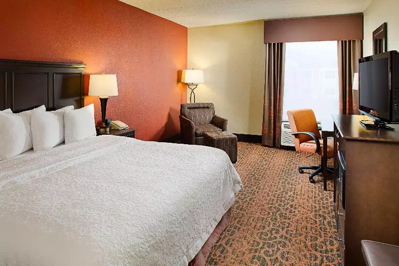 Sviitti King-vuode, Best Western South Plains Inn & Suites