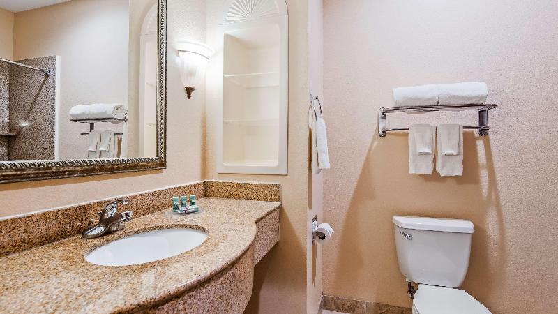 스탠다드 룸 킹사이즈 침대, Best Western South Plains Inn & Suites