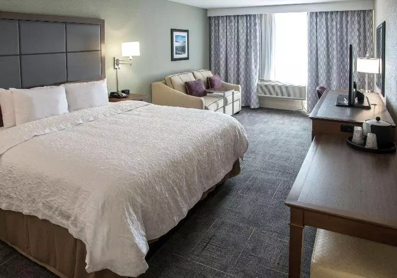 キングサイズベッドのスタンダードルーム, Hampton Inn Hartwell