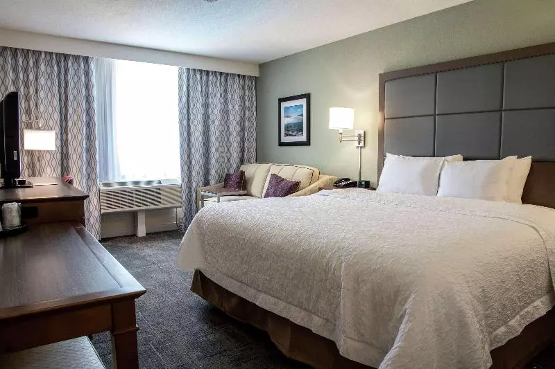 キングサイズベッドのスタンダードルーム, Hampton Inn Hartwell