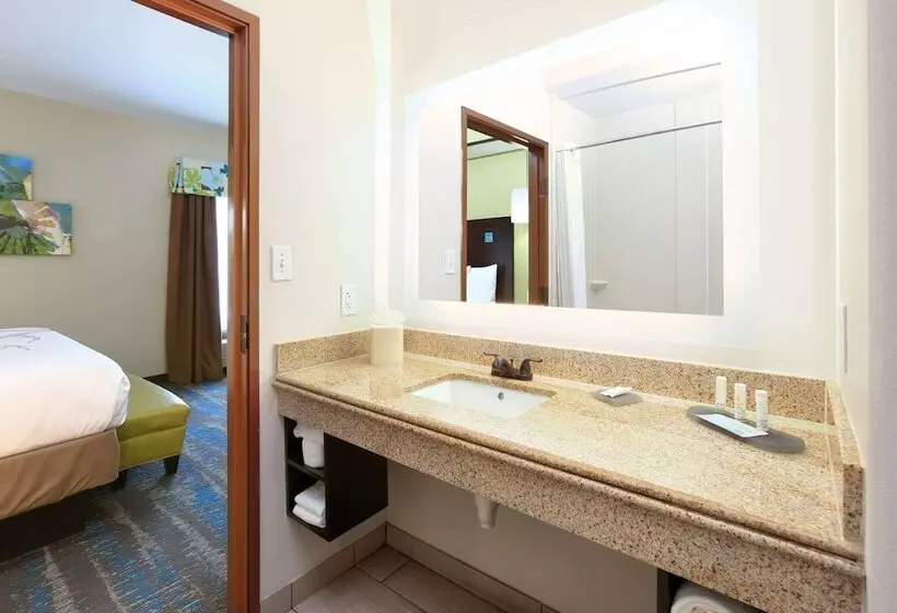 Sviitti King-vuode, La Quinta By Wyndham Dallas Grand Prairie South