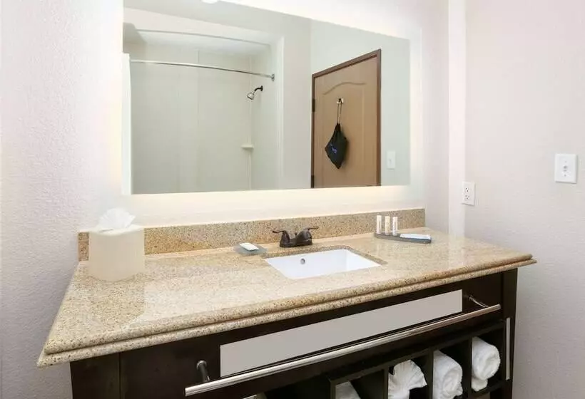 Sviitti King-vuode, La Quinta By Wyndham Dallas Grand Prairie South