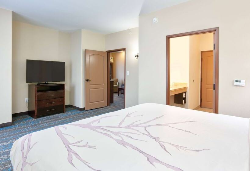 جناح سرير كينج, La Quinta By Wyndham Dallas Grand Prairie South