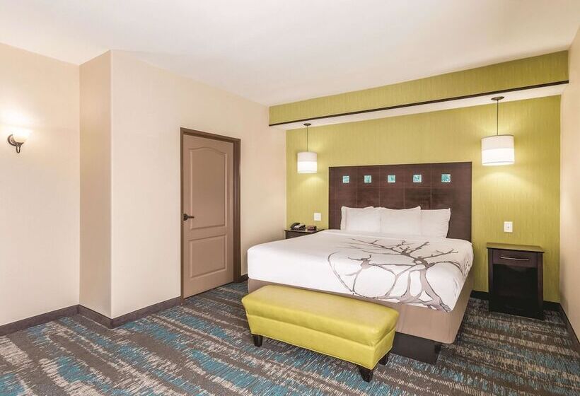 جناح سرير كينج, La Quinta By Wyndham Dallas Grand Prairie South