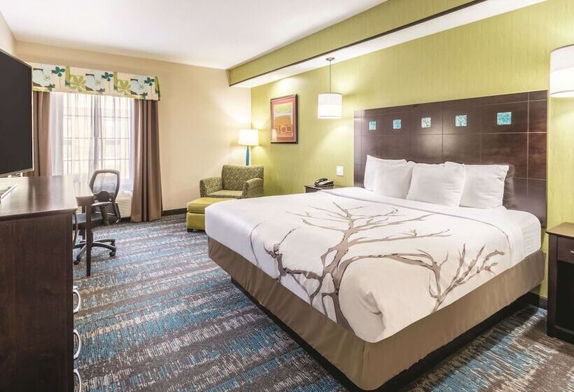 جناح سرير كينج, La Quinta By Wyndham Dallas Grand Prairie South
