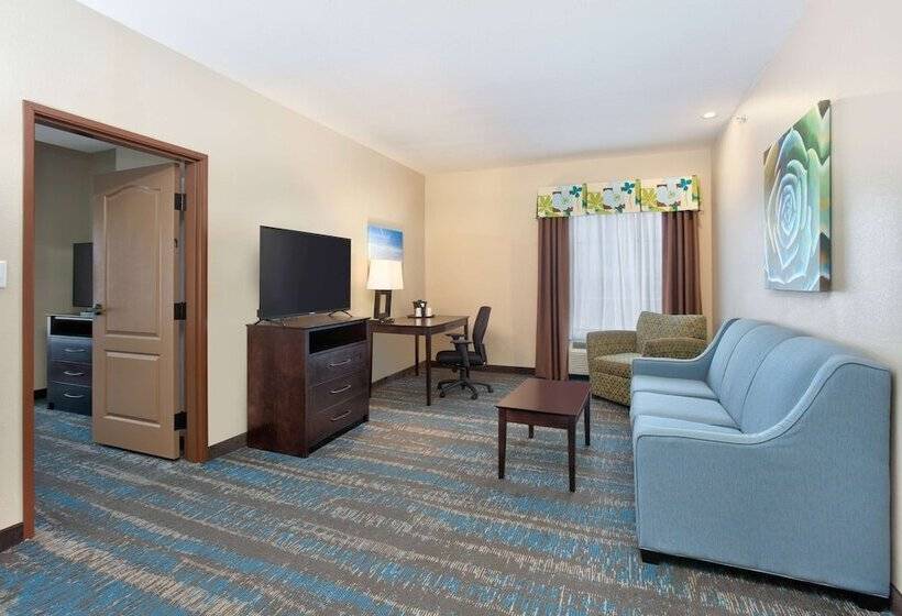 جناح سرير كينج, La Quinta By Wyndham Dallas Grand Prairie South