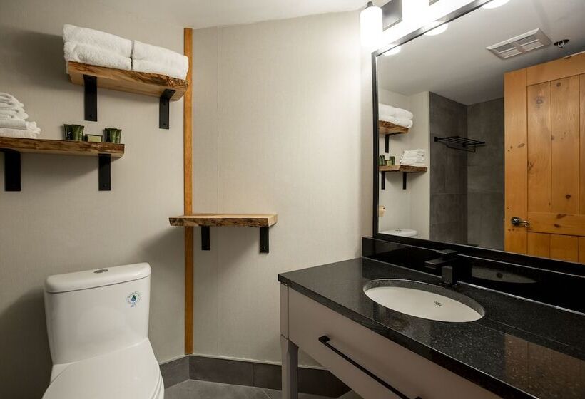 标准工作室, Lodge De La Montagne