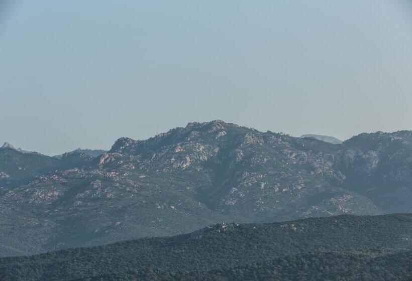 Апартаменты 1 Спальня Вид на Море, Résidence Hôtelière Alcyon