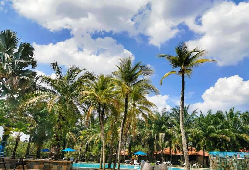 スーペリアールーム, Cinta Sayang Resort