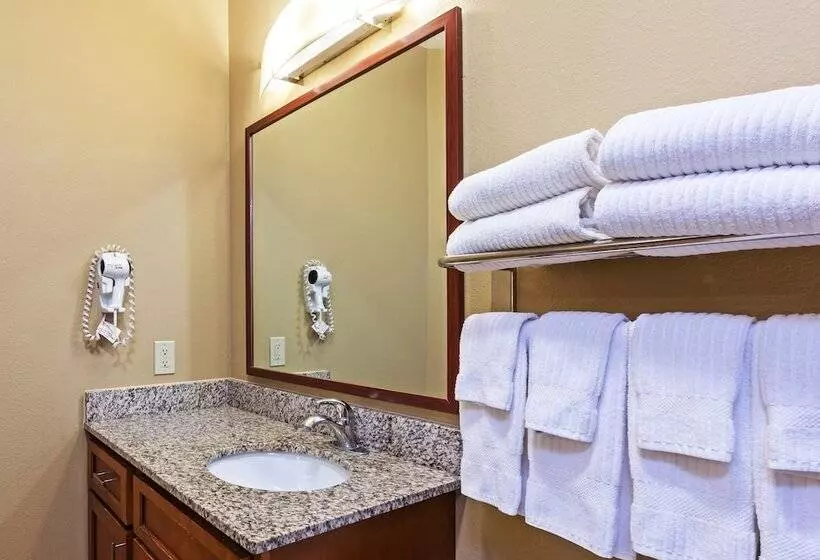 スタンダードルーム, Candlewood Suites Baytown, An Ihg