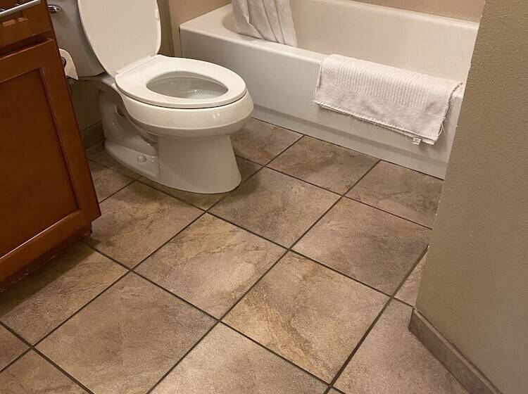 חדר סטודיו סטנדרד, Candlewood Williamsport, An Ihg