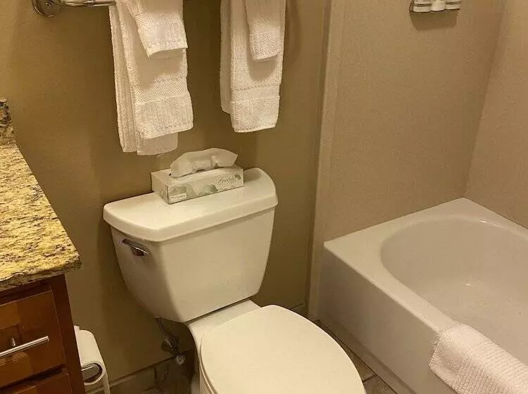 スタンダードスタジオ, Candlewood Williamsport, An Ihg