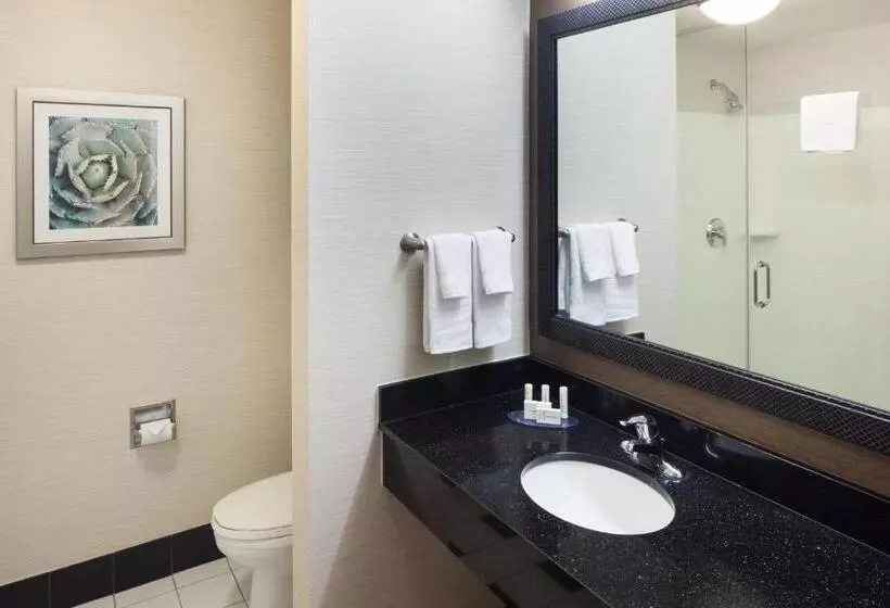 身障者適用キングサイズベッドルーム, Fairfield Inn And Suites Phoenix Chandler Fashion Center