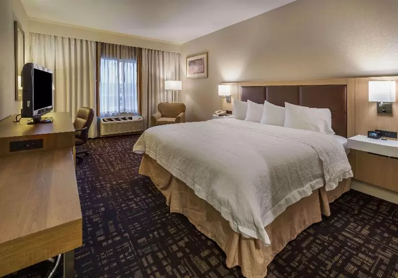 キングサイズベッドのデラックスルーム, Hampton Inn & Suites Reno