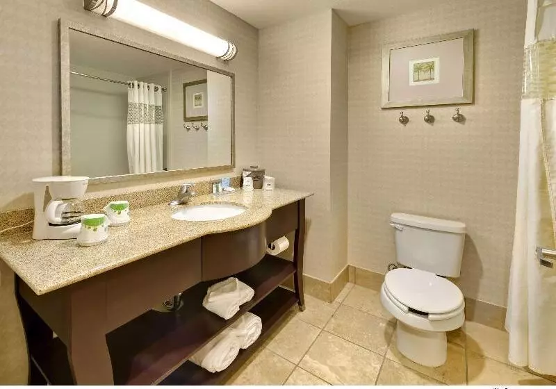 キングサイズベッドのデラックスルーム, Hampton Inn & Suites Reno