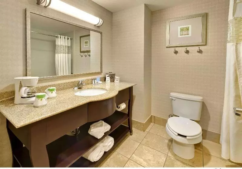 キングサイズベッドのデラックスルーム, Hampton Inn & Suites Reno