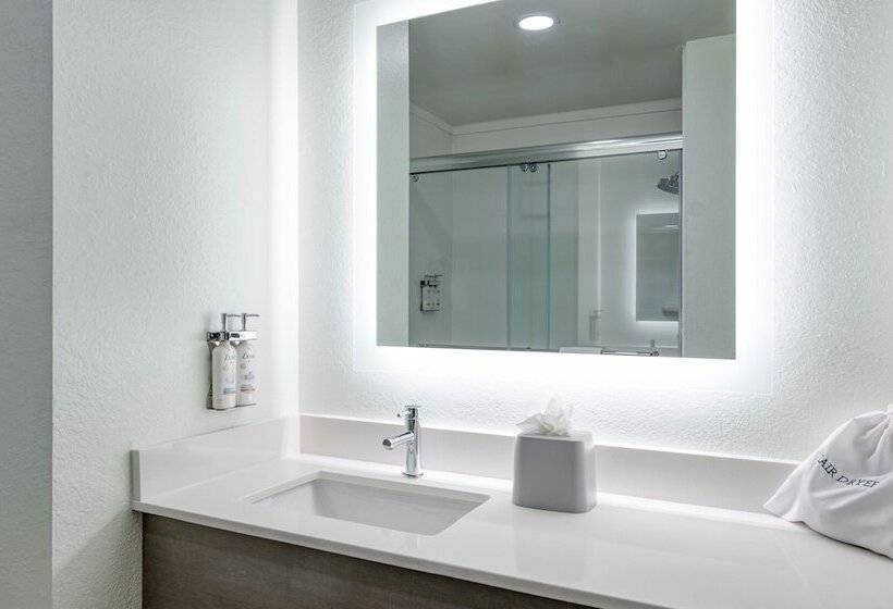 스위트, Holiday Inn Express Hotel & Suites Columbia I 20 At Clemson Road, An Ihg