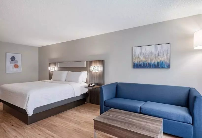 Sviitti, Holiday Inn Express Hotel & Suites Columbia I 20 At Clemson Road, An Ihg