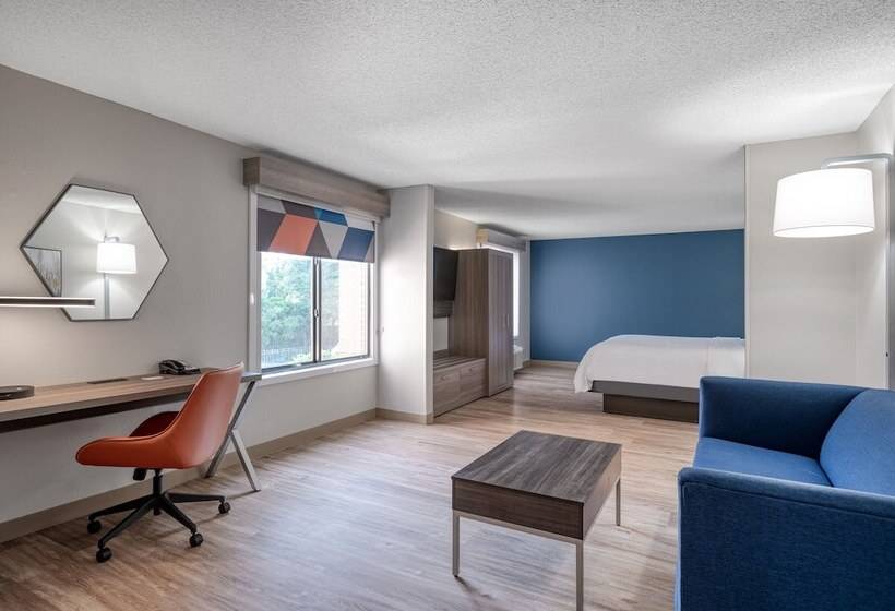 스위트, Holiday Inn Express Hotel & Suites Columbia I 20 At Clemson Road, An Ihg