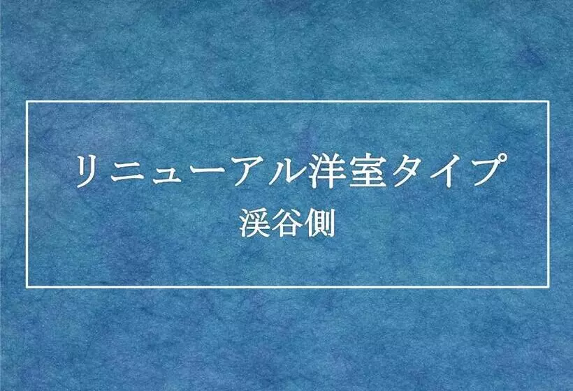اتاق استاندارد با چشم‌انداز رودخانه, Kinugawa Plaza