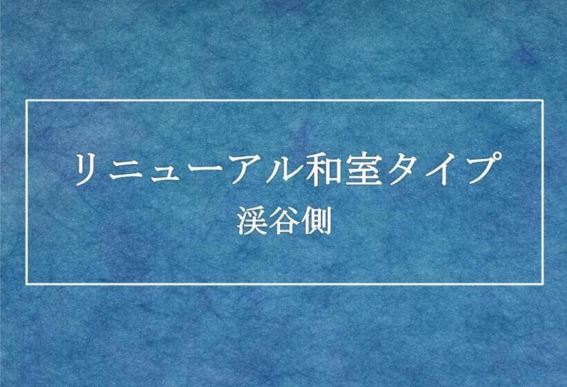 اتاق استاندارد با چشم‌انداز رودخانه, Kinugawa Plaza